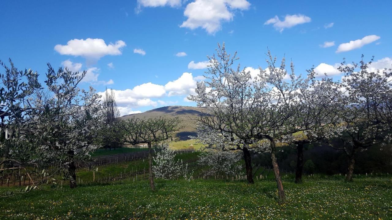 Casaroman San Floriano del Cóllio Exteriér fotografie
