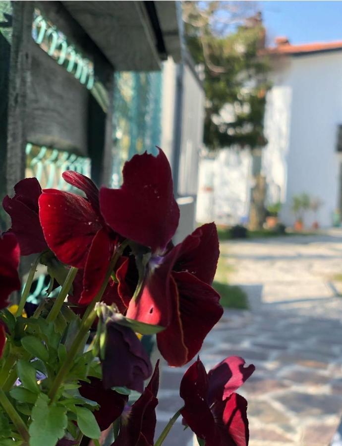 Casaroman San Floriano del Cóllio Exteriér fotografie